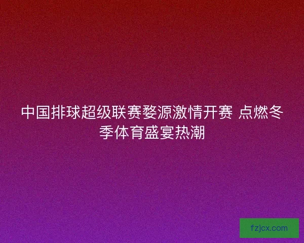 中国排球超级联赛婺源激情开赛 点燃冬季体育盛宴热潮 中国排球超级联赛婺源激情开赛 点燃冬季体育盛宴热潮
