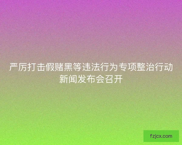 严厉打击假赌黑等违法行为专项整治行动新闻发布会召开